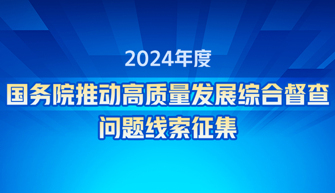 2024年度國務院推動高質量發(fā)展綜合督查問題...